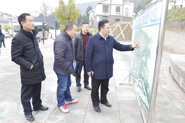 1546933346254192.jpg 222.jpg